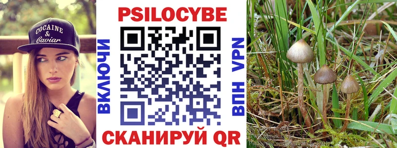 Галлюциногенные грибы ЛСД  Сясьстрой 